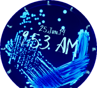 MARCADOR DE BACTÉRIAS